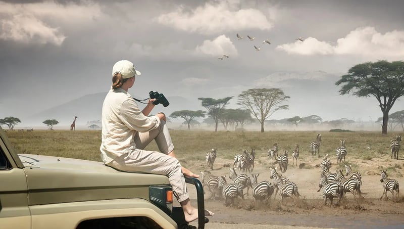 Woman tourist sitting in the hood of a car looking at the zebras and antelopes in the safari