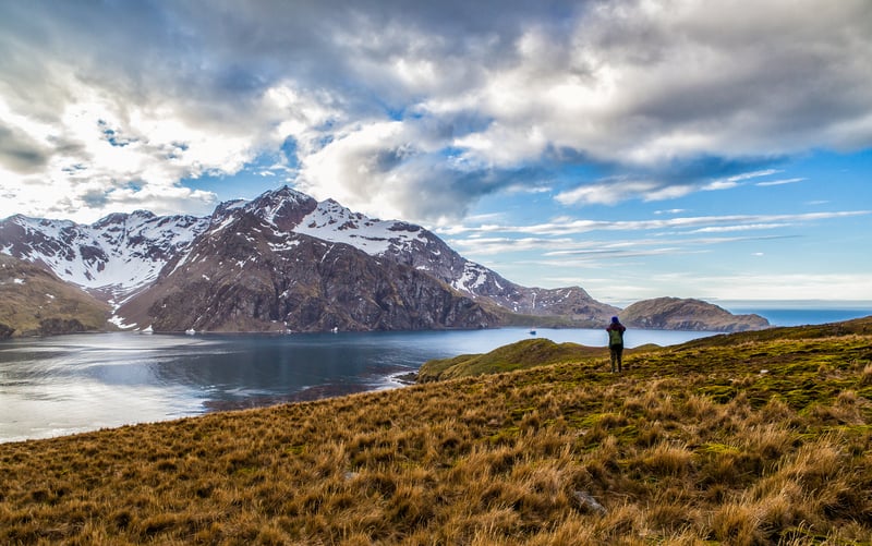 South America: Fortuna Bay