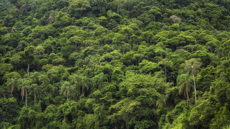 South America: Brazil
