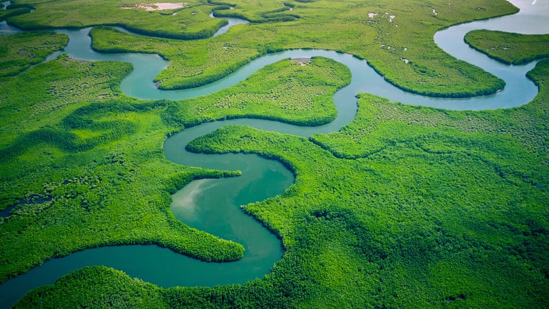 South America: Amazon Rain Forest