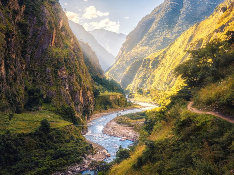 Scenic view the stream, forest, and mountains of Tibet