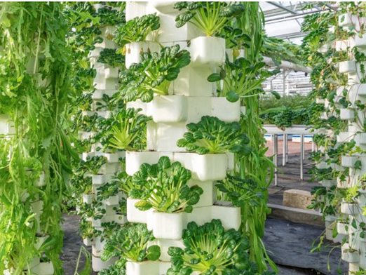 Sustainability Initiatives PUBLIC - Ready For Review-1 Instagram